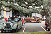 Art Deco Festival, vintage cars, Pohutukawa tree, Napier, Hawke's Bay, North Island, New Zealand