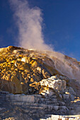 Mammoth Hot Springs Terraces , Mammoth Hot Springs , Yellowstone National Park , Wyoming , U.S.A. , America