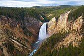 Yellowstone River und Lower Falls , Grand Canyon of the Yellowstone , Yellowstone National Park , Wyoming , U.S.A. , Amerika