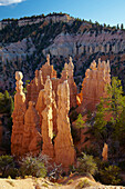 Blick vom Fairyland Point in den Bryce Canyon National Park , Utah , U.S.A. , Amerika