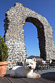 Restaurant am Rolandsbogen, der Ruine der Burg Rolandseck in Rolandswerth, Mittelrheintal, Nordrhein-Westfalen, Deutschland, Europa