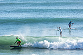 Stehpaddler, Trendsport in Neuseeland, Papamoa Beach, surf, Wassersport, SUP, Tauranga, Nordinsel Neuseeland