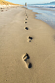 Fussspuren, Strand, barfuss, Person allein, unberührt, goldene Sand, Wasser, Hochformat, Waipu, Nordinsel, Neuseeland