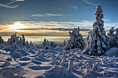 Winterlandschaft bei Sonnenuntergang, Schierke, Brocken, Harz Nationalpark, Winterwald, Mittelgebirge, Sachsen-Anhalt, Deutschland