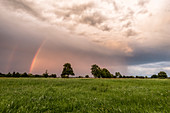Regenbogen über Wiese, Biosphärenreservat, Kulturlandschaft, Spreewald, Brandenburg, Deutschland