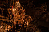 Tropfsteinhöhle mit Stalaktiten und Stalagmiten, Grotte de Saint-Cézaire, Provence-Alpes-Côte d’Azur, Frankreich