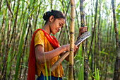 Ein Mädchen erntet Zuckerrohr im Rangamati Bezirk in den Chittagong Hügel-Traktaten, Bangladesch, Asien