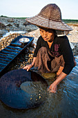 Eine birmanische Frau, die in einem kleinen Bach in der Nähe von Putao im Norden, Kachin-Staat, Myanmar (Burma), Asien, nach Gold schwenkt