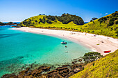 White sandy beach in the Waikare Inlet visited from Russell by sailing boat, Bay of Islands, Northland Region, North Island, New Zealand, Pacific