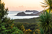 Bay of Islands Küste bei Sonnenaufgang, gesehen von Russell, Northland Region, Nordinsel, Neuseeland, Pazifik