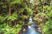 Hatea River Landschaft an den Whangarei Falls, ein Wasserfall in der Northlands Region von Nordinsel, Neuseeland, Pazifik