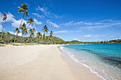 Der lange Strand, umgeben von Palmen und dem Karibischen Meer, Morris Bay, Antigua und Barbuda, Leeward Islands, Westindische Inseln, Karibik, Mittelamerika