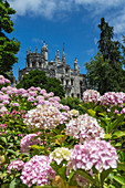 Flowers frame old mystical buildings of Romanesque Gothic and Renaissance style, Quinta da Regaleira, Sintra, Portugal, Europe