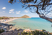 Mediterrane Vegetation Frames die Bucht und das türkisblaue Meer von Cala Monte Turno, Castiadas, Cagliari, Sardinien, Italien, Mittelmeer, Europa