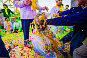 Guru getting flower petals thrown over his face during the Flower Holi Festival, Vrindavan, Uttar Pradesh, India, Asia