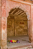 Baby ruht im Schatten bei Mehrangarh Fort in Jodhpur, die Blaue Stadt, Rajasthan, Indien, Asien