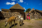 Woman standing at her home in Llacon, Lake Titicaca, Peru, South America