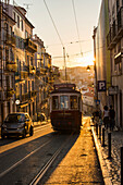 Tram in Lissabon, Portugal, Europa