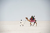 Indische Familie, die eine Kamelfahrt in der weißen Wüste genießt, ein saisonaler Salzmarsch im Großen Rann von Kutch, Kutch, Gujarat, Indien, Asien