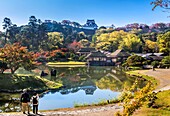 Japan, Hikone City, Hikone Castle, Rakurako-en Garden.