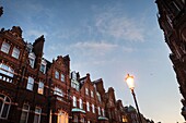 Straße mit Mehrfamilienhäusern in der Dämmerung und Straßenlaterne unter blauem Himmel. Draycott Pl., London, England
