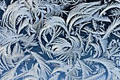 Frost patterns on a window, Greater Sudbury, Ontario, Canada.