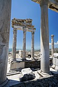 Pergamon Trajaneum. Ancient Greece. Asia Minor. Truthahn