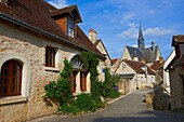 Montresor, Labelled Les Plus Beaux Villages de France, The Most Beautiful Villages of France, Indre-et-Loire, Pays de la Loire, Loire Valley, UNESCO World Heritage Site, France.