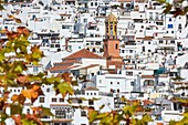 Competa. Axarquia, Traditional white town, Malaga province, Andalucia, Spain.
