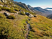 Sierra de la Paramera. Navandrinal. Avila. Castilla Leon. Spain. Europe.