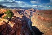 Arizona's Grand Canyon at Toroweap at Grand Canyon National Park.