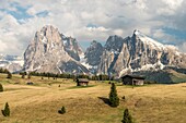 Alpe di Siusi/Seiser Alm, Dolomites, South Tyrol, Italy. View from the Alpe di Siusi to the peaks of Sassolungo/Langkofel and Sassopiatto / Plattkofel.