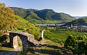 Old town gate Rote Tor in the village Spitz, which is nested in the vineyards of the Wachau. The Wachau is a famous vineyard and listed as Wachau Cultural Landscape as UNESCO World Heritage. Europe, Central Europe, Austria, Lower Austria.