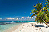 Dream beach on the Caribbean Island Isla Saona, Parque Nacional del Este, Dominican Republic, Carribean, America,.