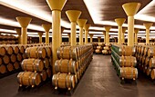 Wine cellar, Dinastia Vivanco winery, Briones, La Rioja, Spain, Europe