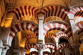 Arches and Columns, The Great Mosque (Mosquita) and Cathedral of Cordoba, UNESCO World Heritage Site, Cordoba, Spain