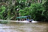 Bootsfahrt zum Tortuguero Nationalpark, Karibikküste, Costa Rica