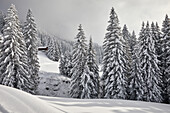 Winter in the Alps near Lenzerheide, Grisons, Switzerland