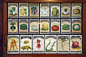 Tüten mit Samen von Gemüsen, Garden Museum, Lambeth Palace, Lambeth, London, England