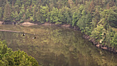 zipline at Wendefurth reservoir, Harz National Park, Saxony-Anhalt, Germany