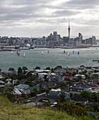 Devonport, Auckland, North Island, New Zealand, Oceania