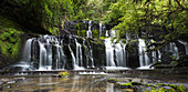 Purakaunui Falls, Waterfall in the Catlins, Clutha, Otago, Southland, South Island, New Zealand, Oceania