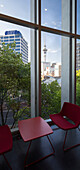 View towards Sky Tower, Auckland, North Island, New Zealand, Oceania