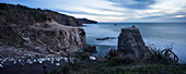 Muriwai Beach, Waitakere Ranges Regional Park, Auckland, Nordinsel, Neuseeland, Ozeanien