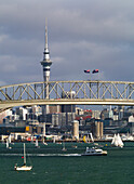 Birkenhead, Auckland, North Island, New Zealand, Oceania