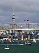 Birkenhead, Auckland, Nordinsel, Neuseeland, Ozeanien