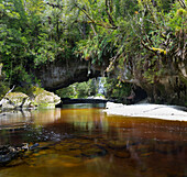 River in the Kahurangi National Park, West Coast, Tasman, South Island, New Zealand, Oceania