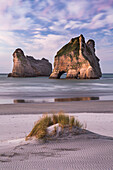 Wharariki Beach, Cape Farewell, Farewell Split, Tasman, Tasman Sea, Cook Strait South Island, New Zealand, Oceania