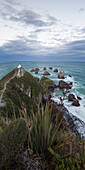 Nugget Point, Catlins, Otago, South Island, New Zealand, Oceania