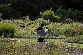 Public garden of the old tree nursery Bischweiler, Untergiesing, Munich, Upper Bavaria, Bavaria, Germany